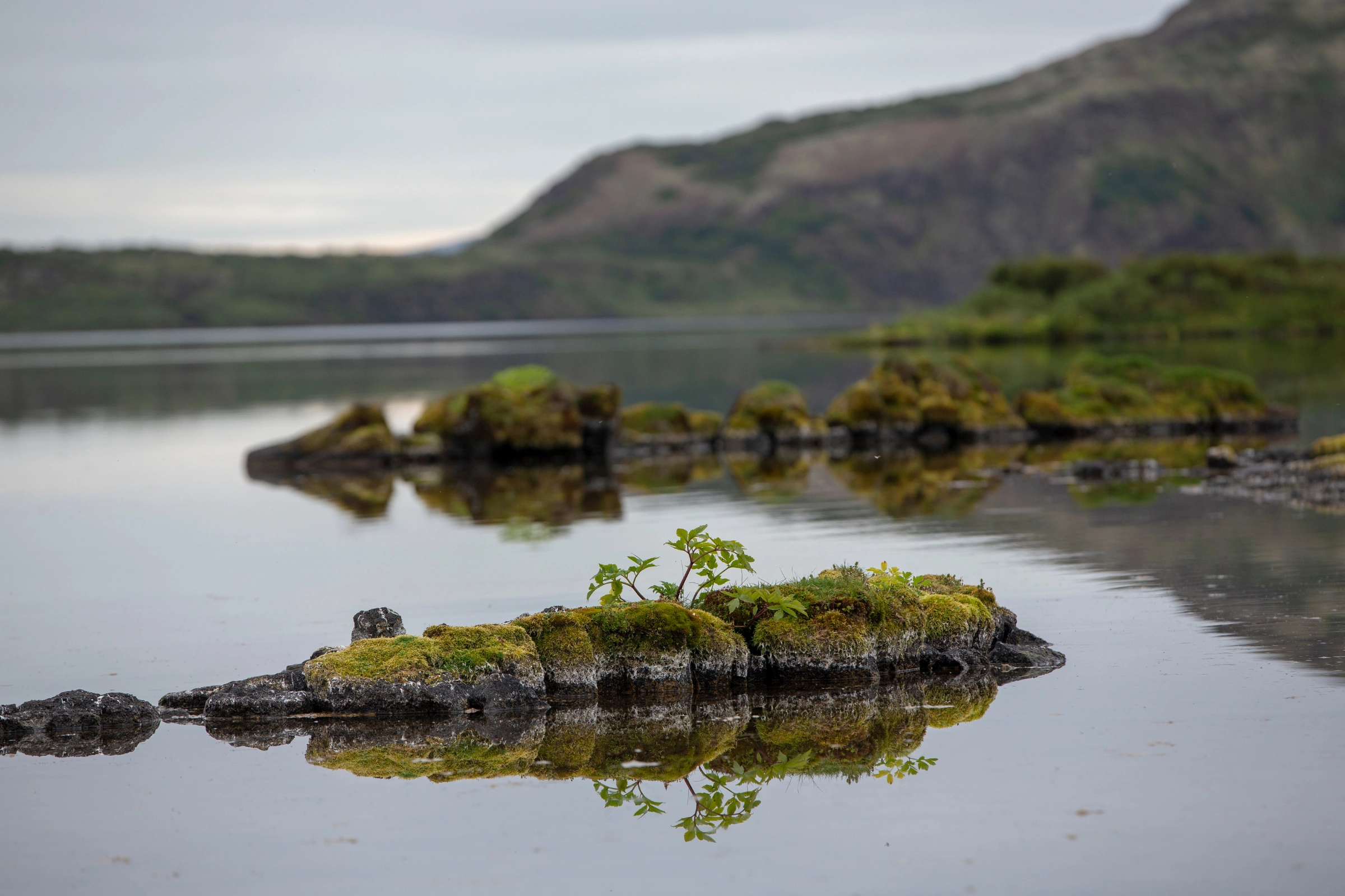 Mykines_Island[1].webp